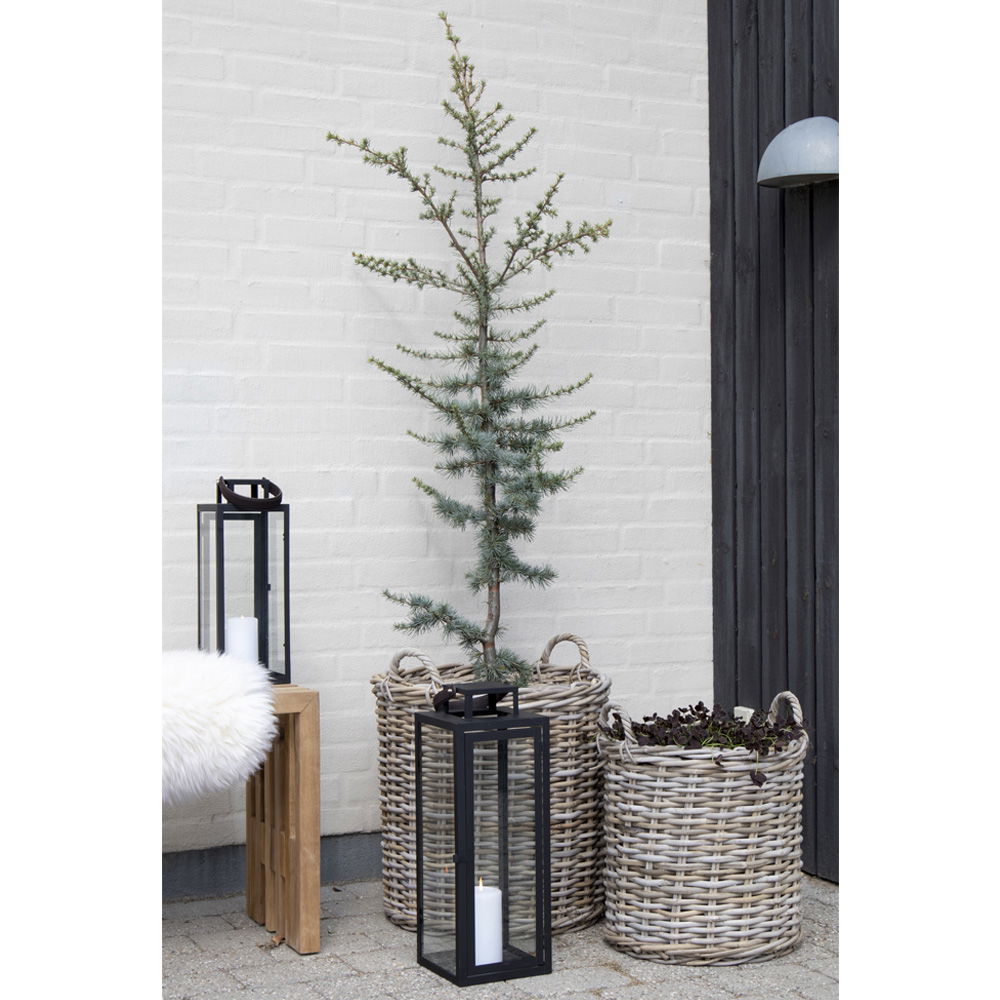 House Nordic Indo Kurve - Image 6