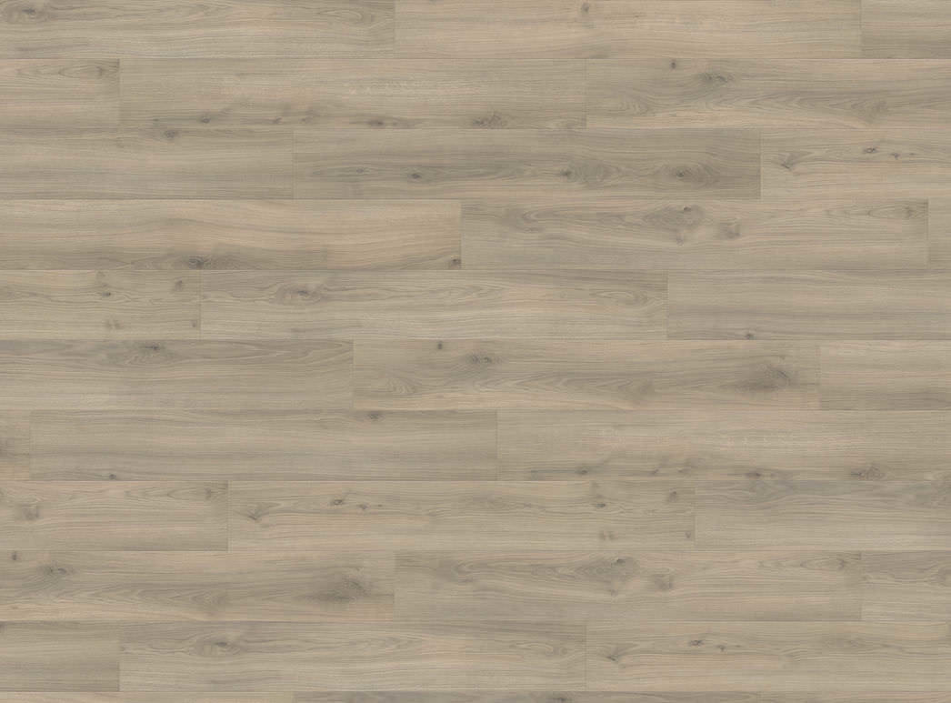 HARO Laminatgulv Plank Eg Emilia fløjlsgrå - Bild 4