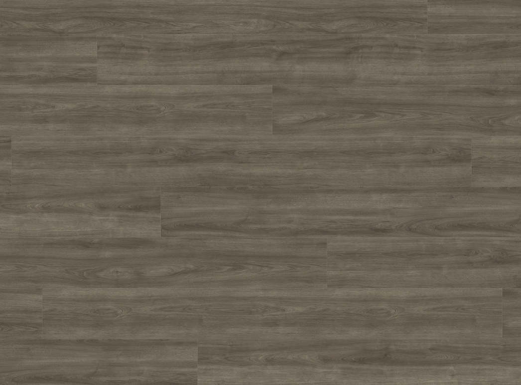 HARO Laminatgulv Plank Eg Eleganza antikgrå - Bild 3