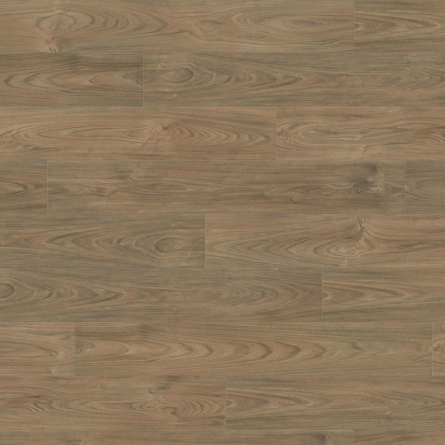 HARO Laminatgulv Plank Elm Vario - Bild 3