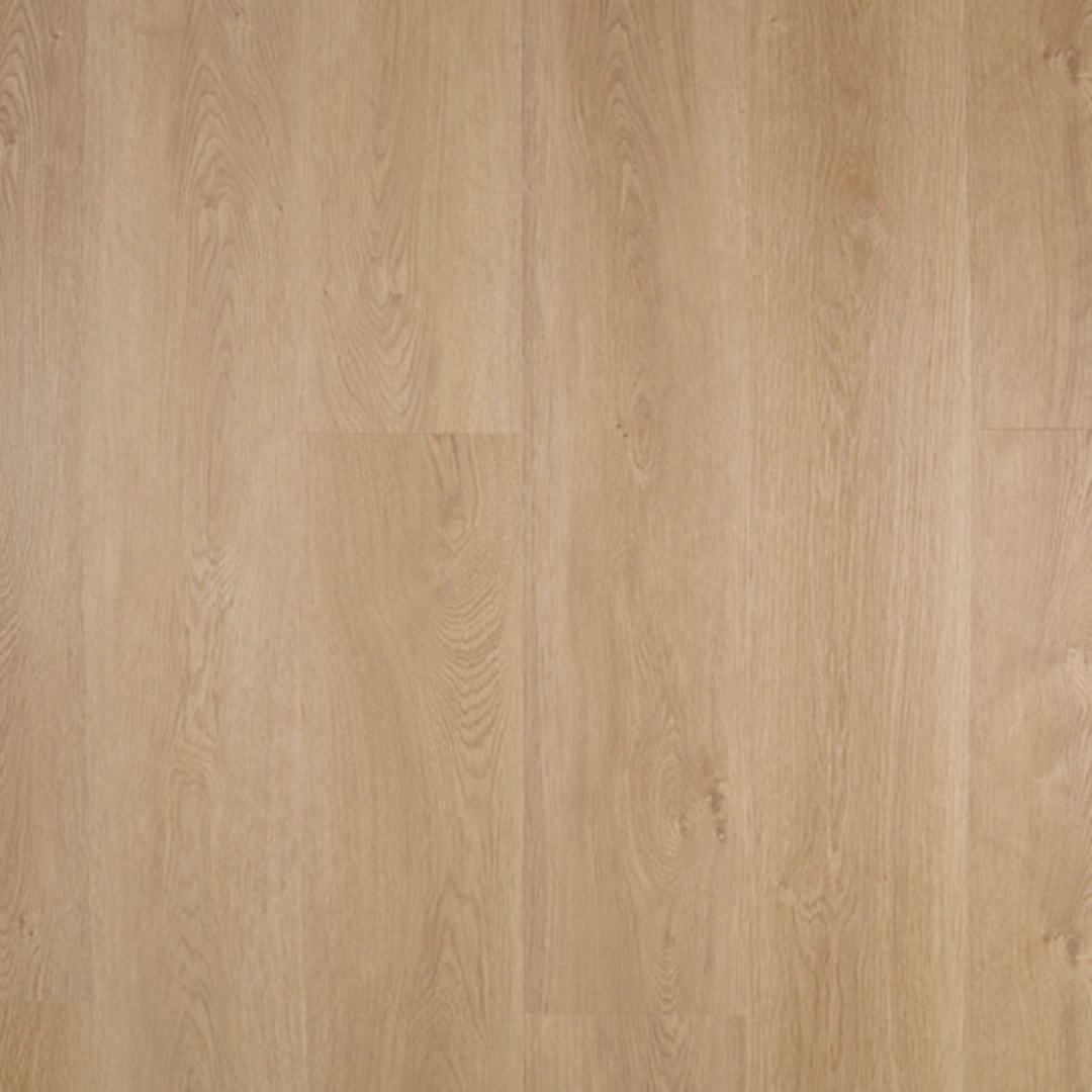 Timberman Novego Plus - Brighton - Image 3